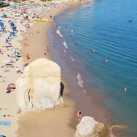 Nelo's Cousy Place Портіман